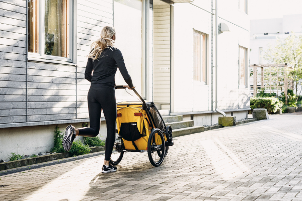 Велосипедный прицеп Thule Thule Chariot Sport 2