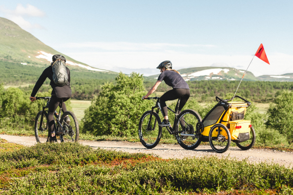 Велосипедный прицеп Thule Thule Chariot Sport 2