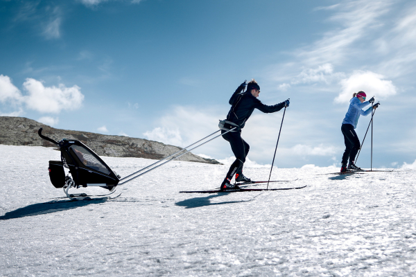 Велосипедный прицеп Thule Thule Chariot Sport 2