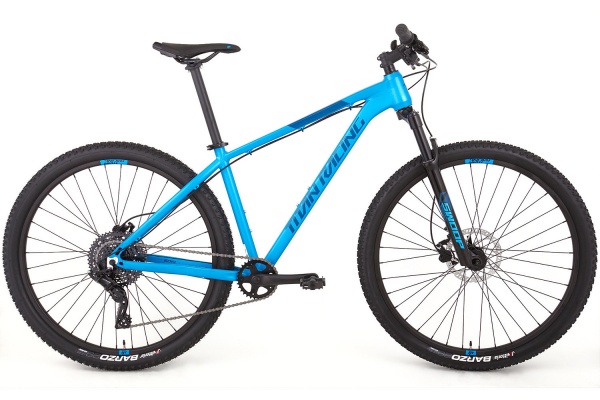 Велосипед Titan Racing Rogue Ryde (2024)