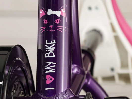 Велосипед TREK PreCaliber 16 Girls KDS 16" (2019)