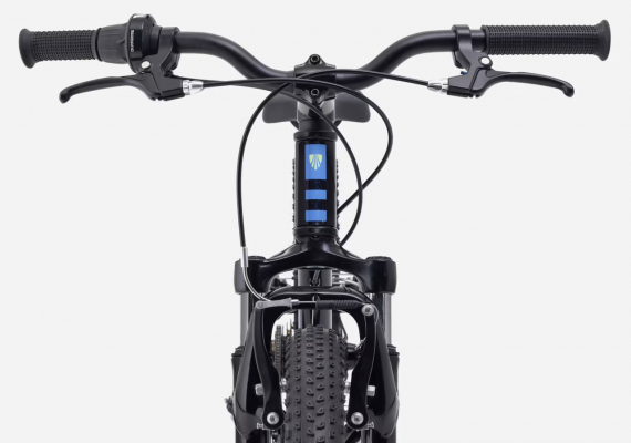 Велосипед TREK PreCaliber 20 7 sp. (2027)
