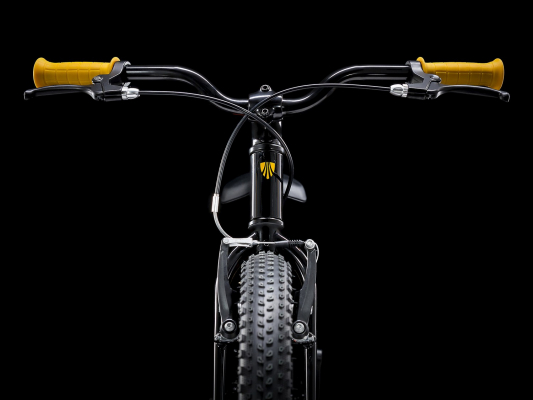 Велосипед TREK PreCaliber 20 Boys F/W (2022)