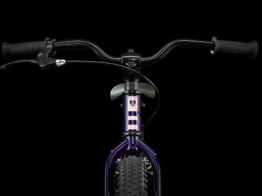 Велосипед TREK PreCaliber 20 CST Girls (2022)
