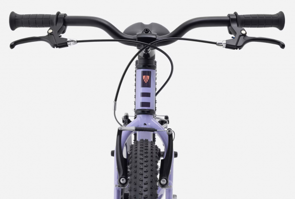 Велосипед TREK PreCaliber 20 Freewheel (2027)