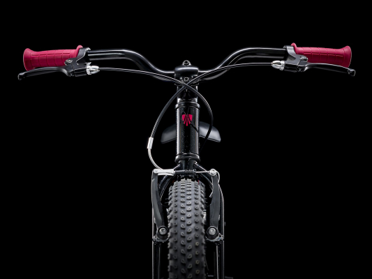 Велосипед TREK PreCaliber 20 Girls F/W (2022)