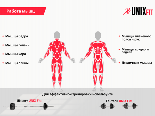 Скамья силовая со стойками UnixFit BENCH 120