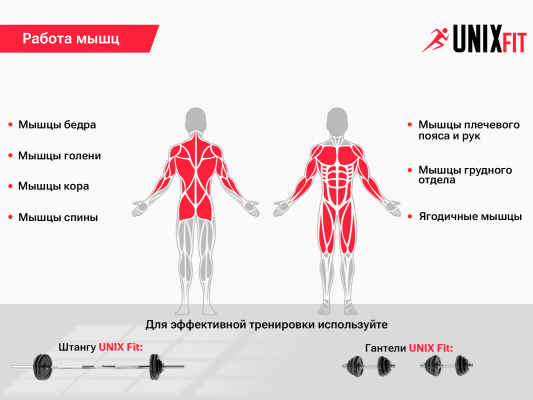 Скамья силовая со стойками UnixFit BENCH 120P