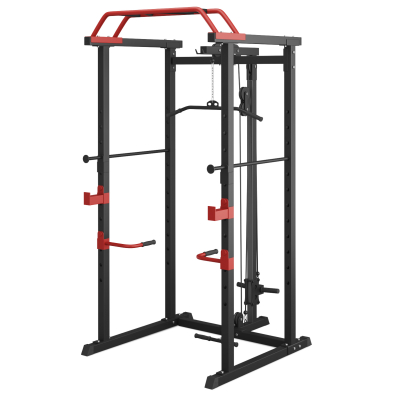 Силовая рама UnixFit многофункциональная с тягой (300 кг) Артикул: PF300RD