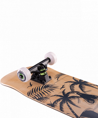 Скейтборд  RIDEX 31.7"X8.125", ABEC-7, Outlaw