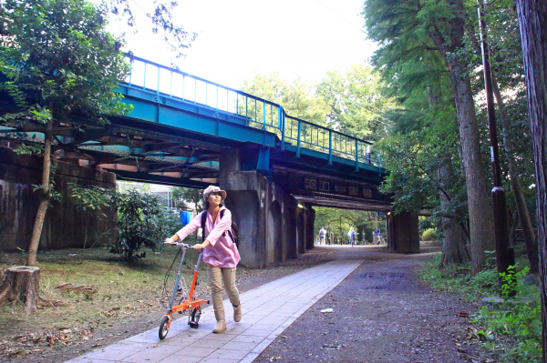 Велосипед CarryMe SD
