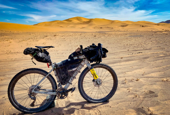 Велосипед Wilier Jena LE Camp 1x13V (2021)