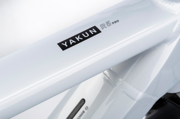Электровелосипед Winora Yakun R5 Pro Unisex i750Wh5-G Nexus (2023)